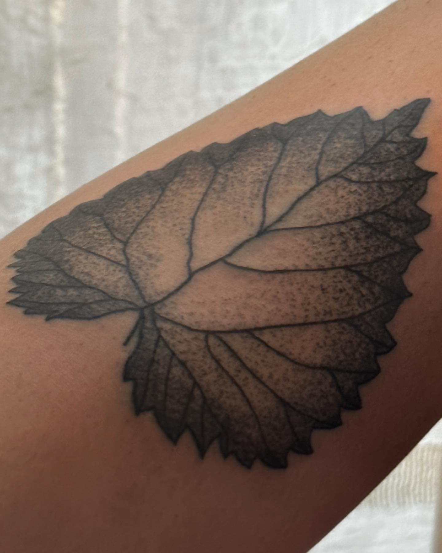 Tattoo work by Lara B