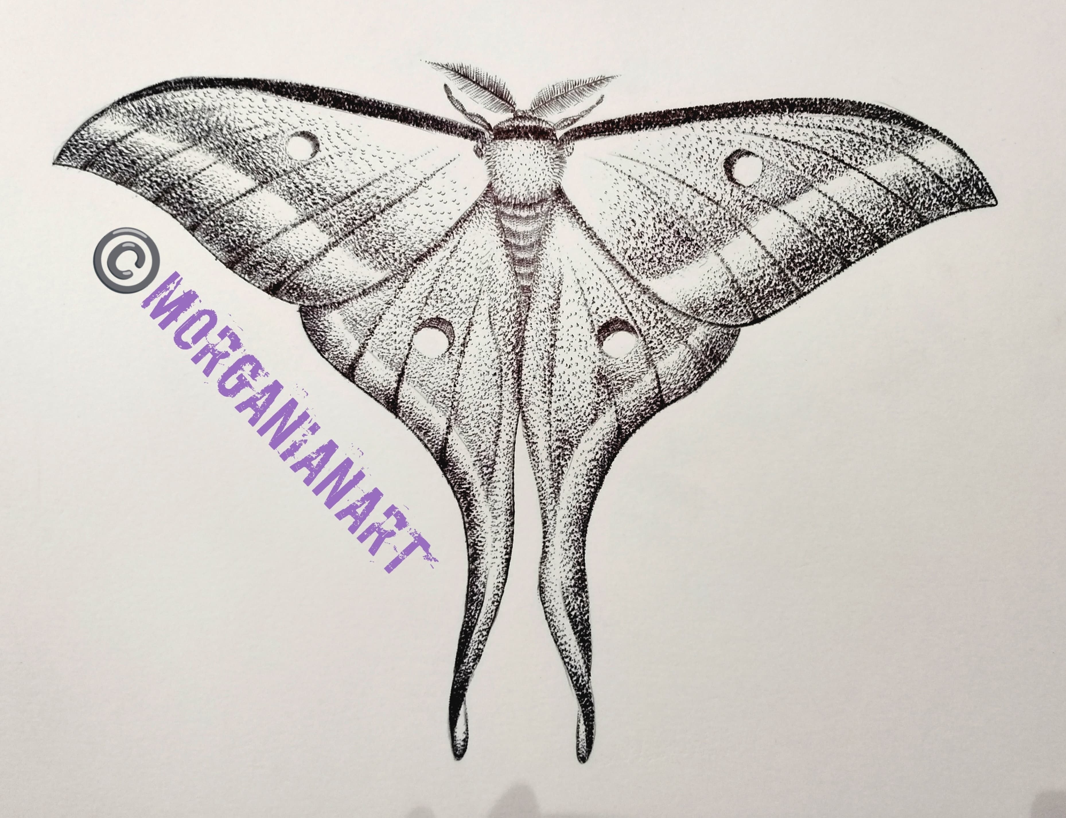 Tattoo work by Ian Morgan