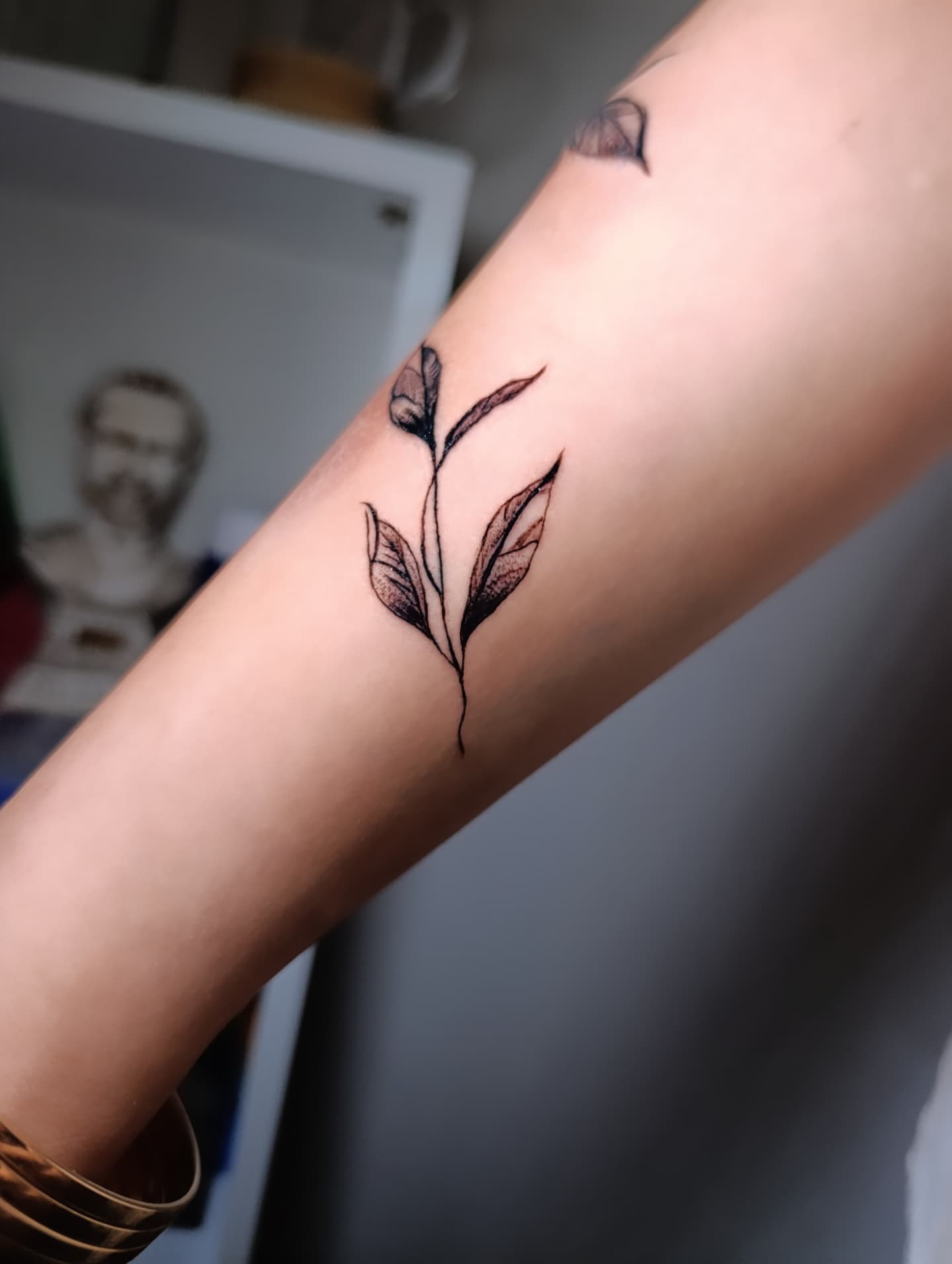 Tattoo work by Marva Sadegi