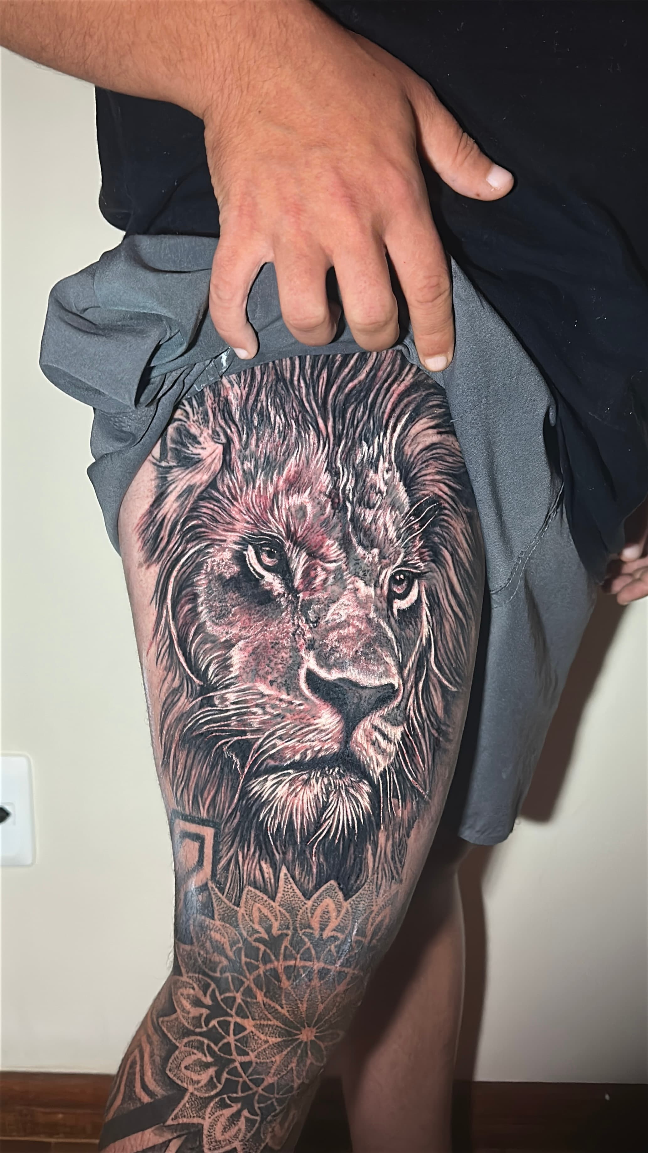 Adonai Gomes artwork