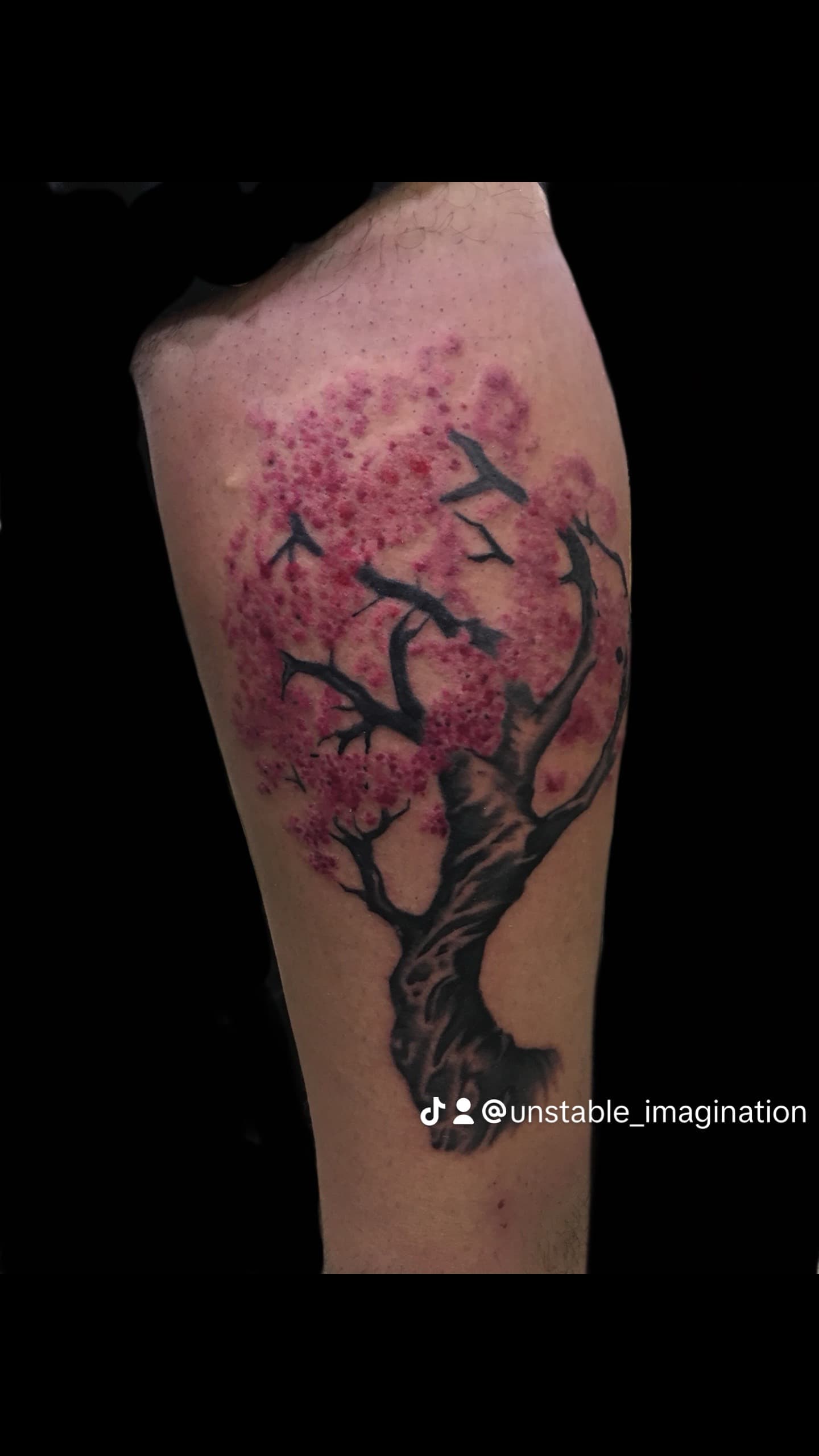 Tattoo work by Unstable Imagination T