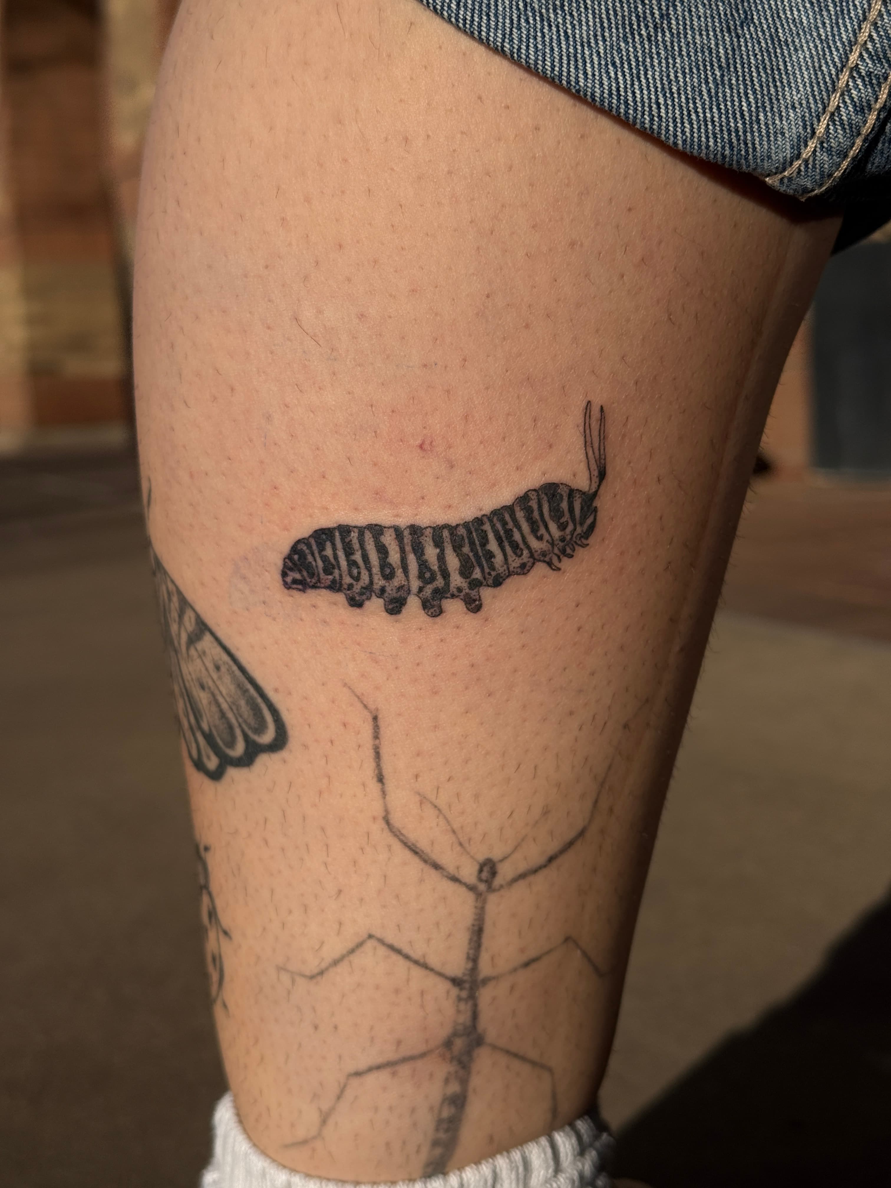 Tattoo work by Lexi Carroll